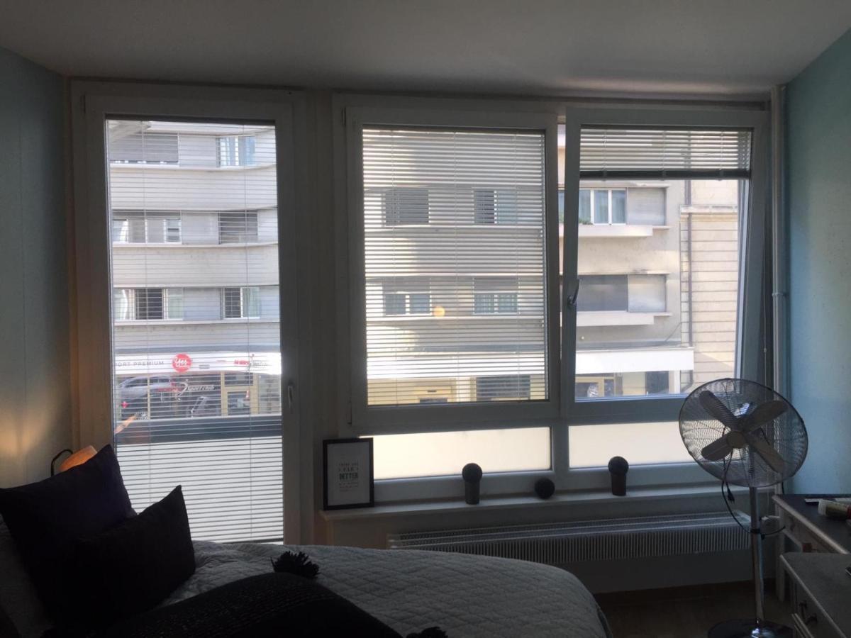 Rue Jean-Antoine Gautier Apartment Geneva Ngoại thất bức ảnh