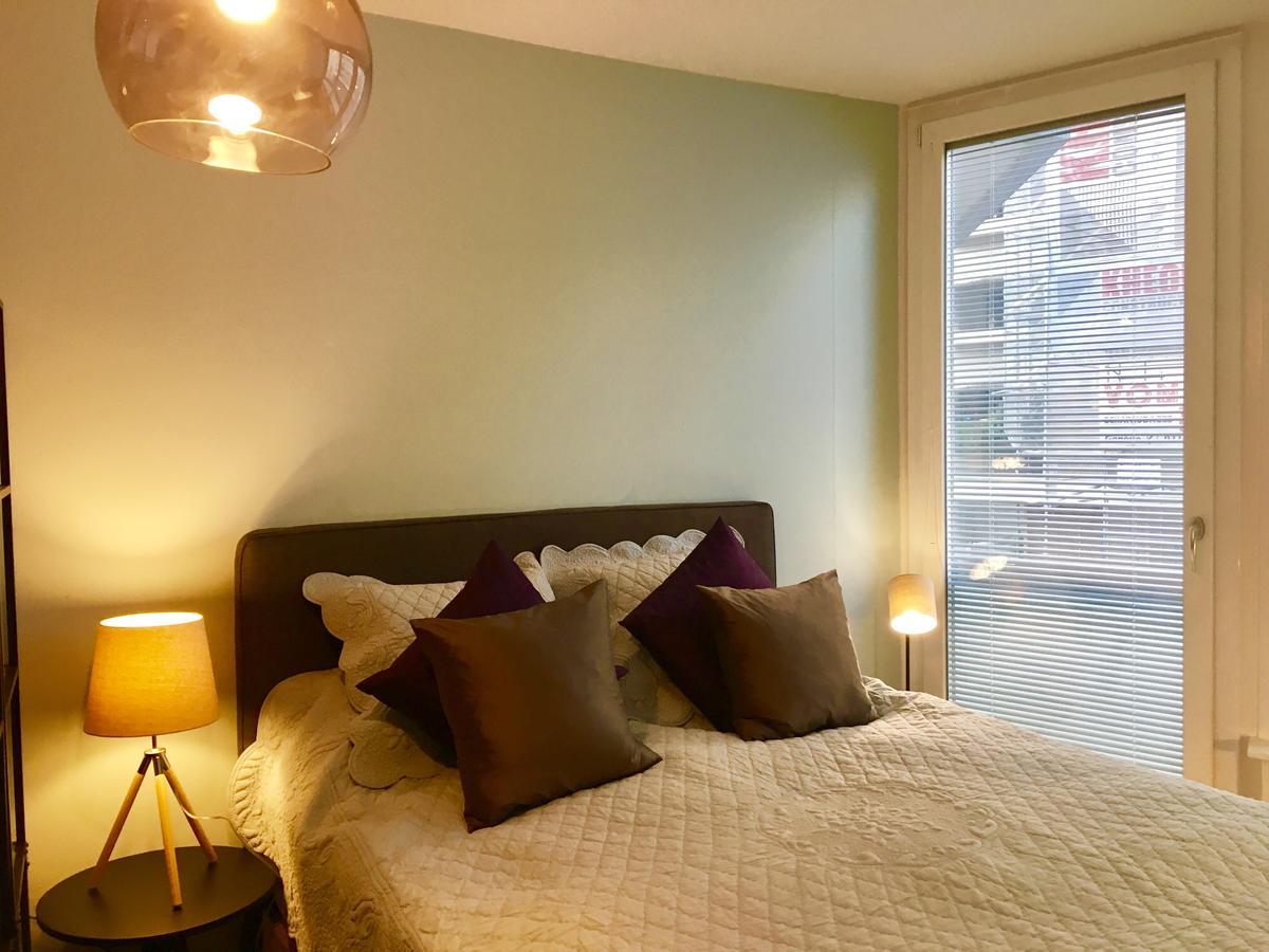 Rue Jean-Antoine Gautier Apartment Geneva Ngoại thất bức ảnh