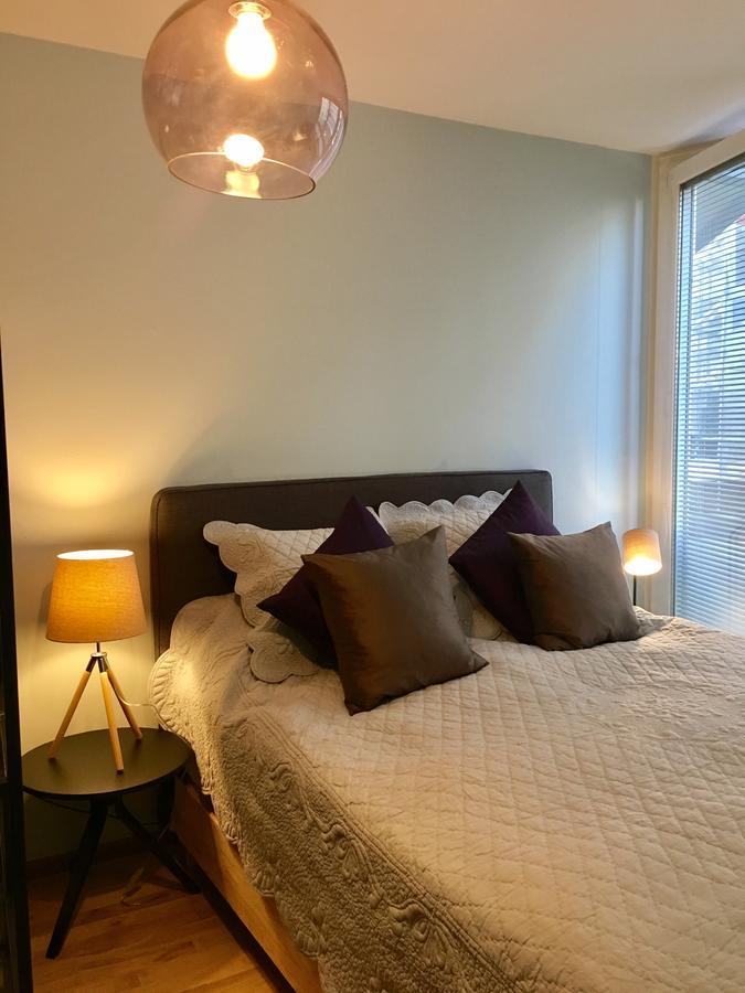 Rue Jean-Antoine Gautier Apartment Geneva Ngoại thất bức ảnh